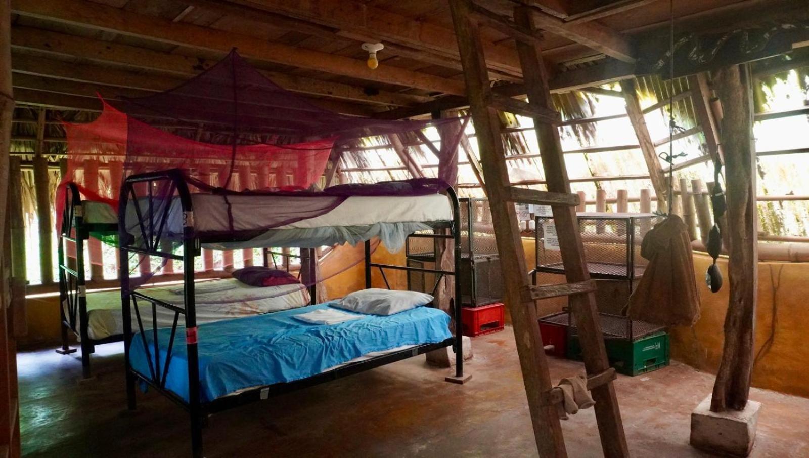 El Zopilote Hostel Balgue Room photo