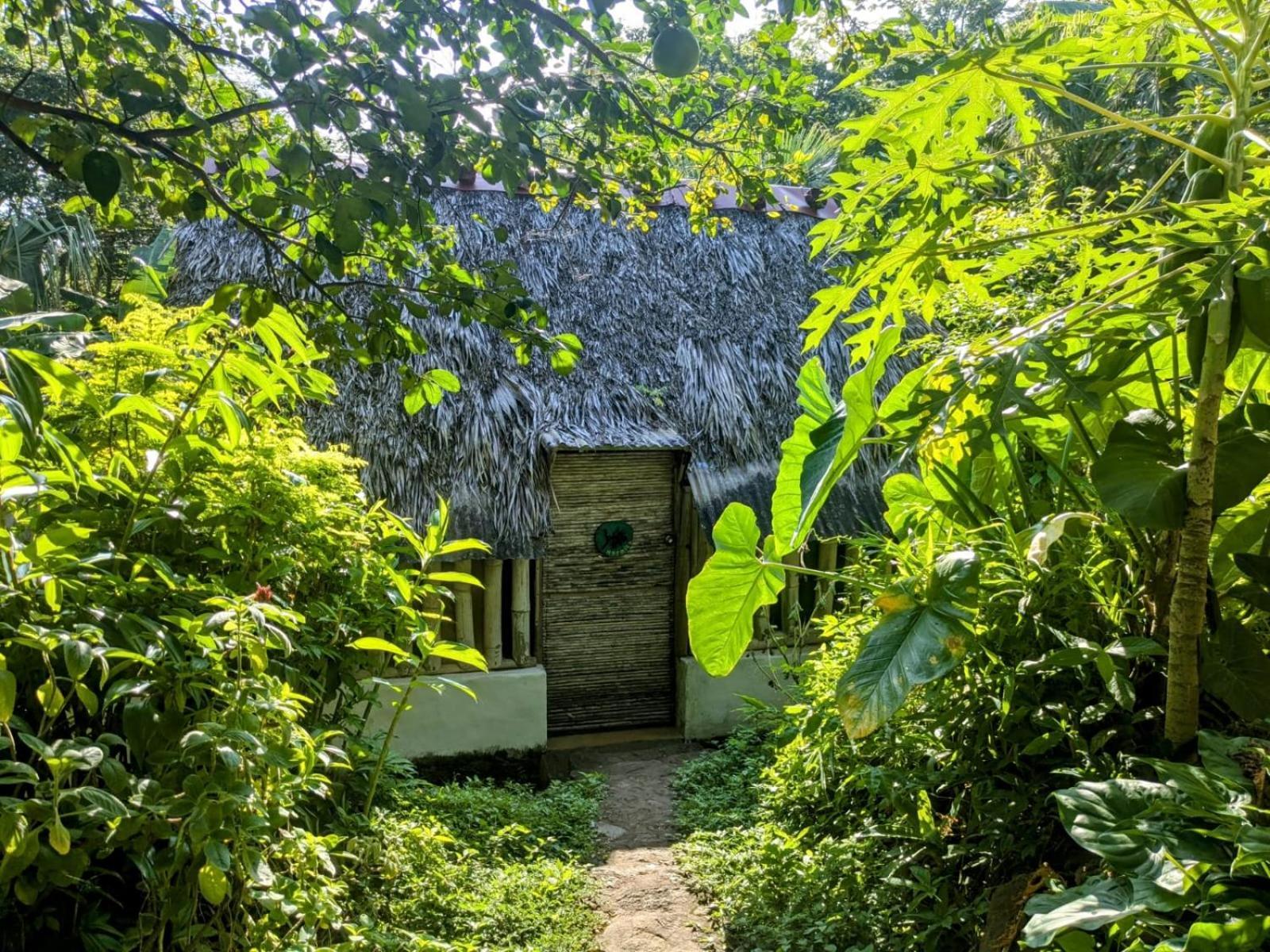 El Zopilote Hostel Balgue Exterior photo